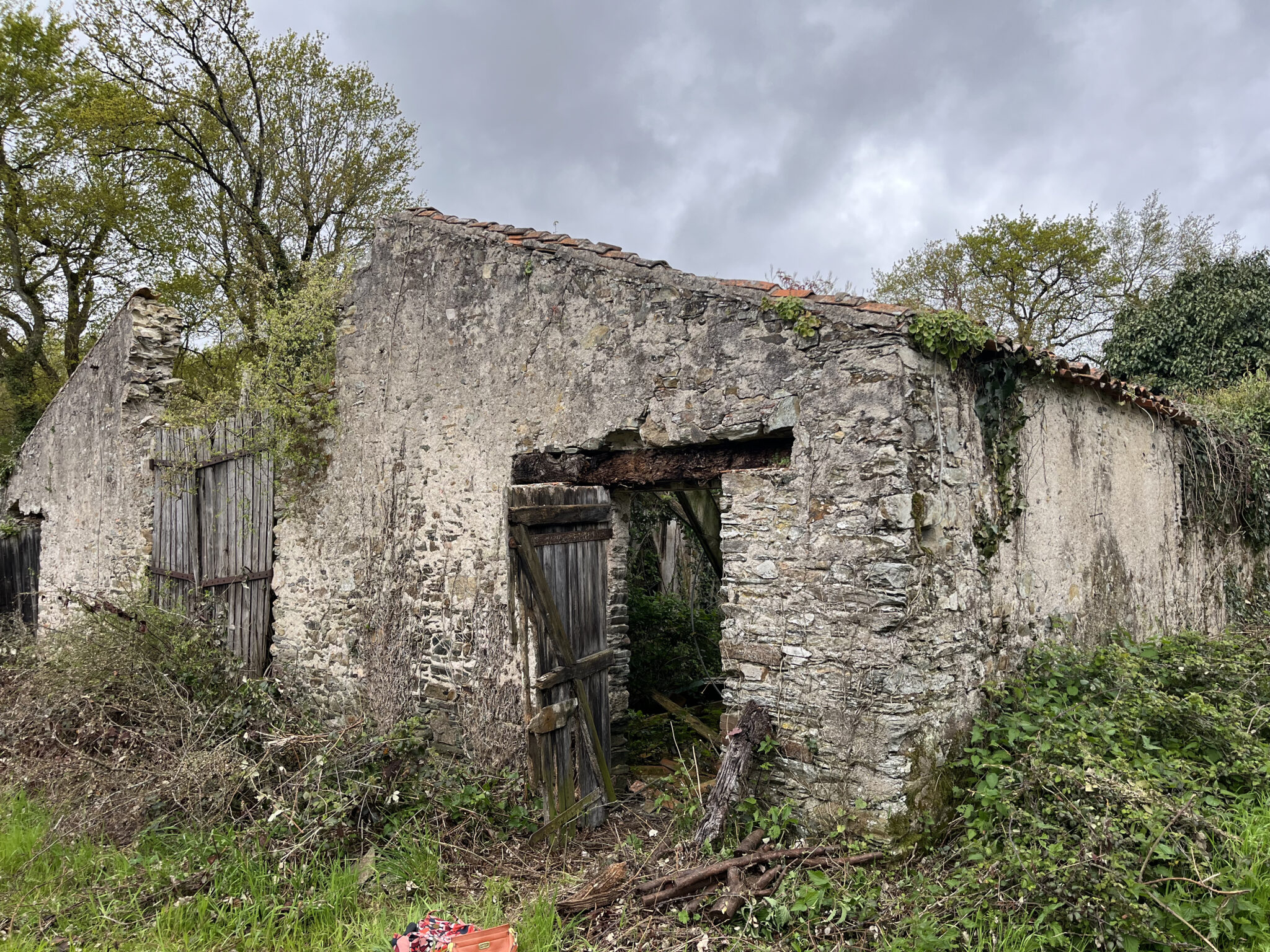 1 Image Carroussel LE PATIS