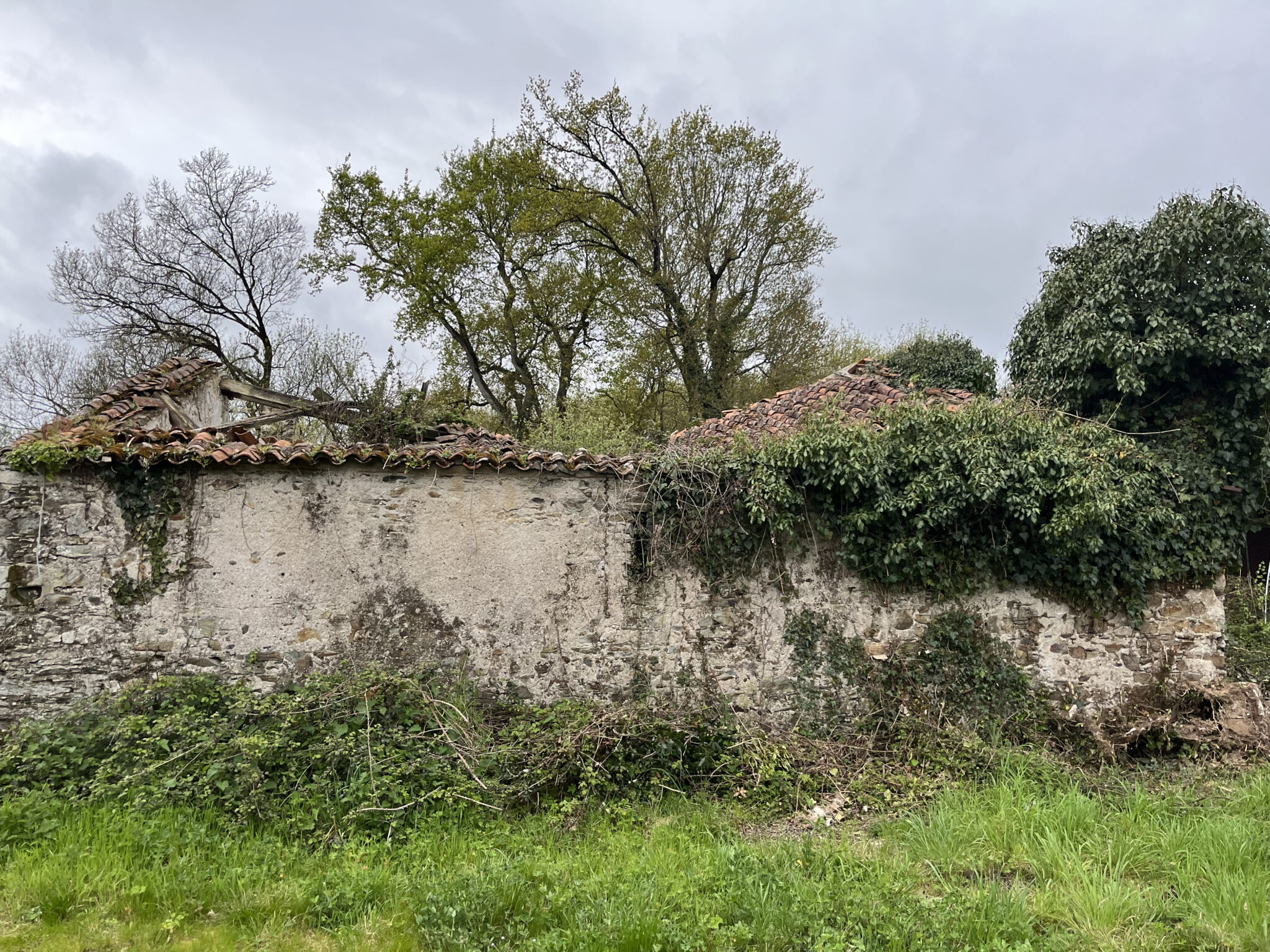 2 Image Carroussel LE PATIS